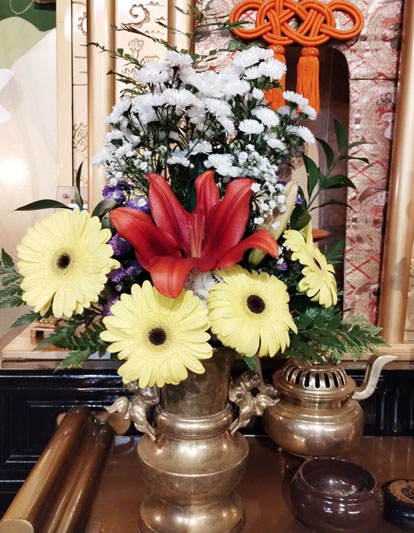 Flores de 29 de Novembro de 2024