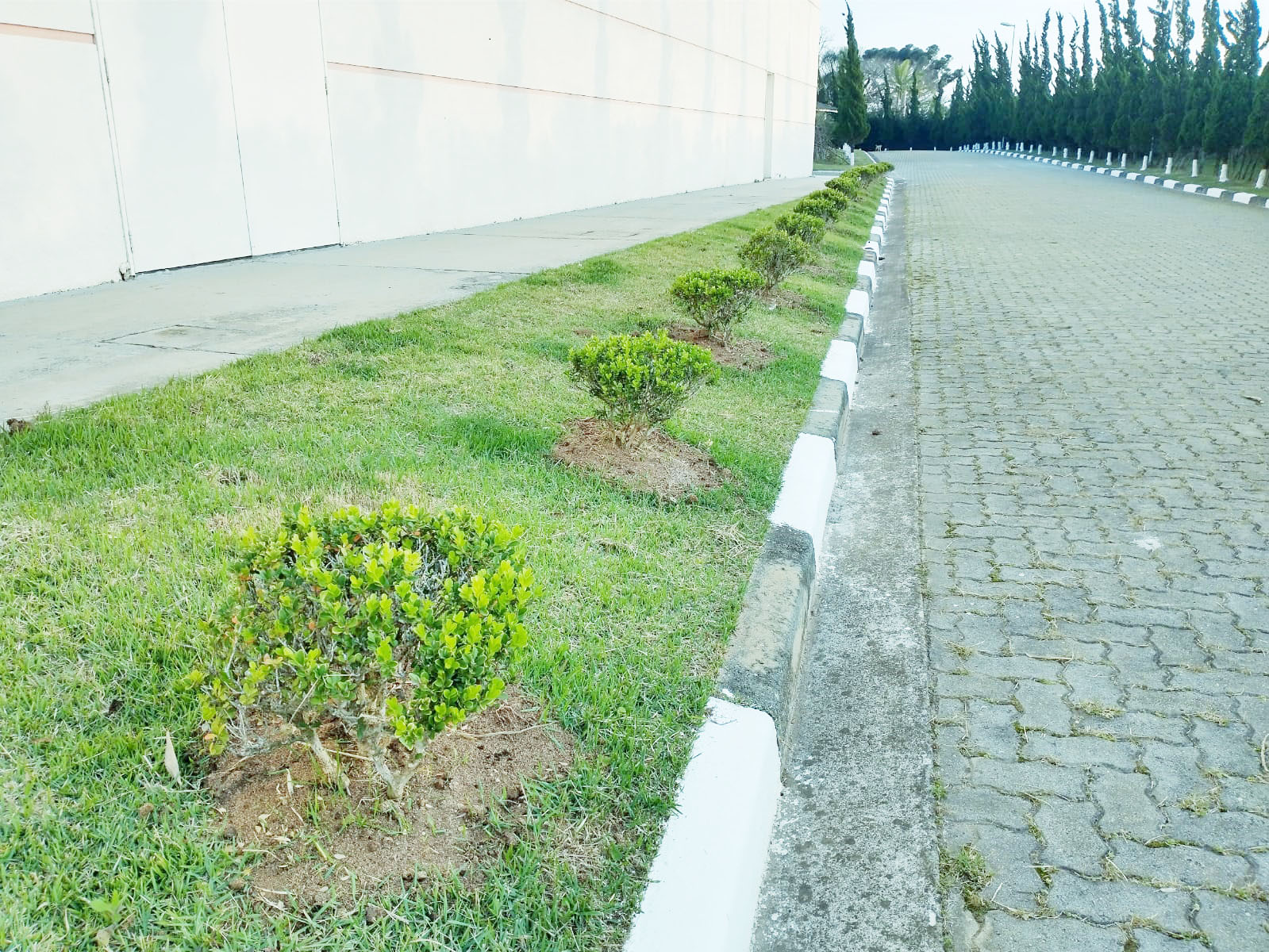 Urbon-é 2023 - Foto 3
